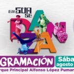 canal mega tv en sua se danza